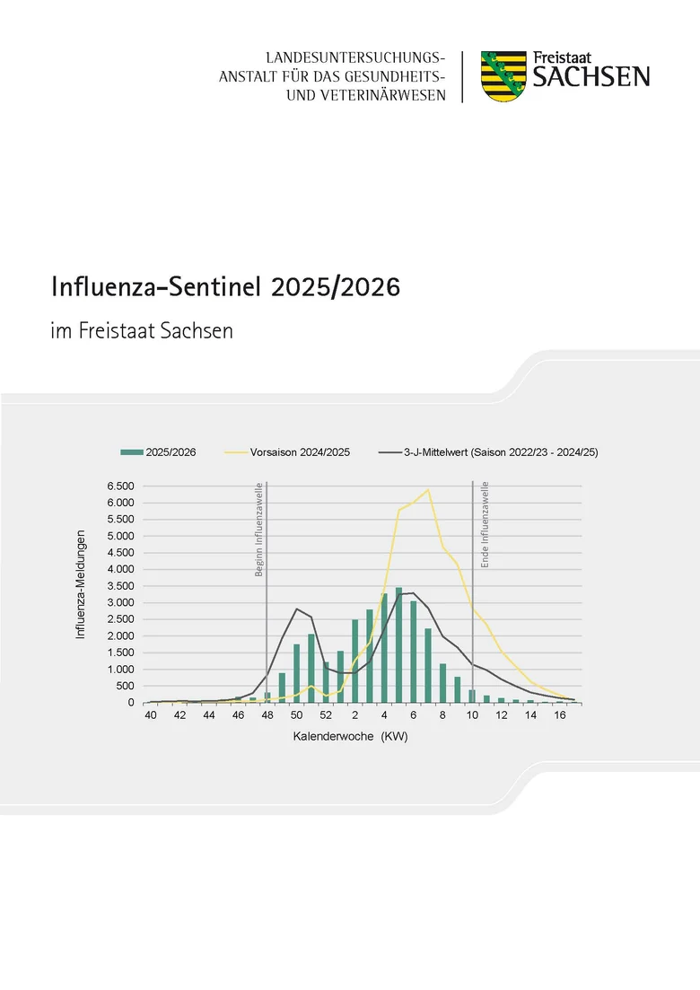 Titelbild des Influenza Jahresberichtes 2019 / 2020