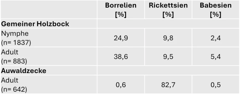 Adulten Holzböcken waren zu 38,6% mit Borrelien, 9,5% mit Rickettsien und 5,4% mit Babesien infiziert. Bei den adulten Auwaldzecken waren hingegen 0,6% mit Borrelien, 82,7% mit Rickettsien und 0,5% mit Babesien infiziert.