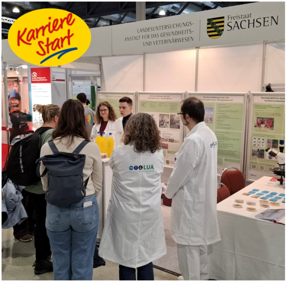 Karrierestart Dresden Januar 2026